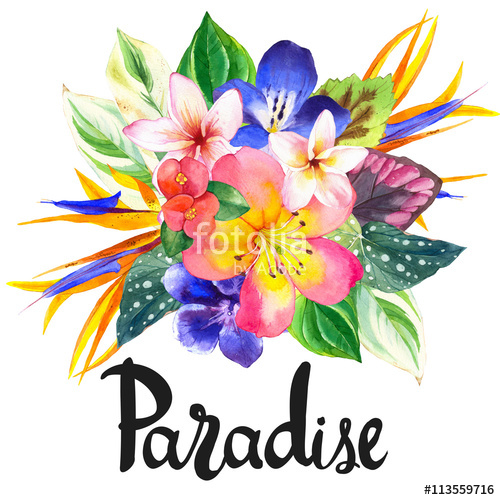 500x500 Illustration With Realistic Watercolor Flowers. Paradise. Stock