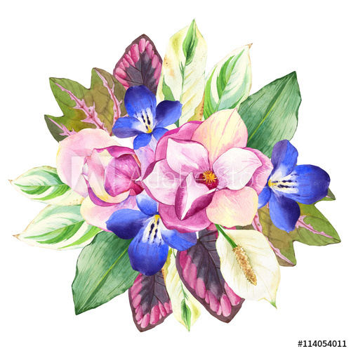 500x500 Illustrations With Realistic Watercolor Flowers. Botanical