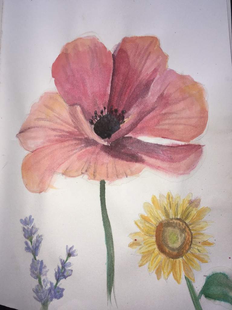 768x1024 Realistic Watercolor Flowers Amino