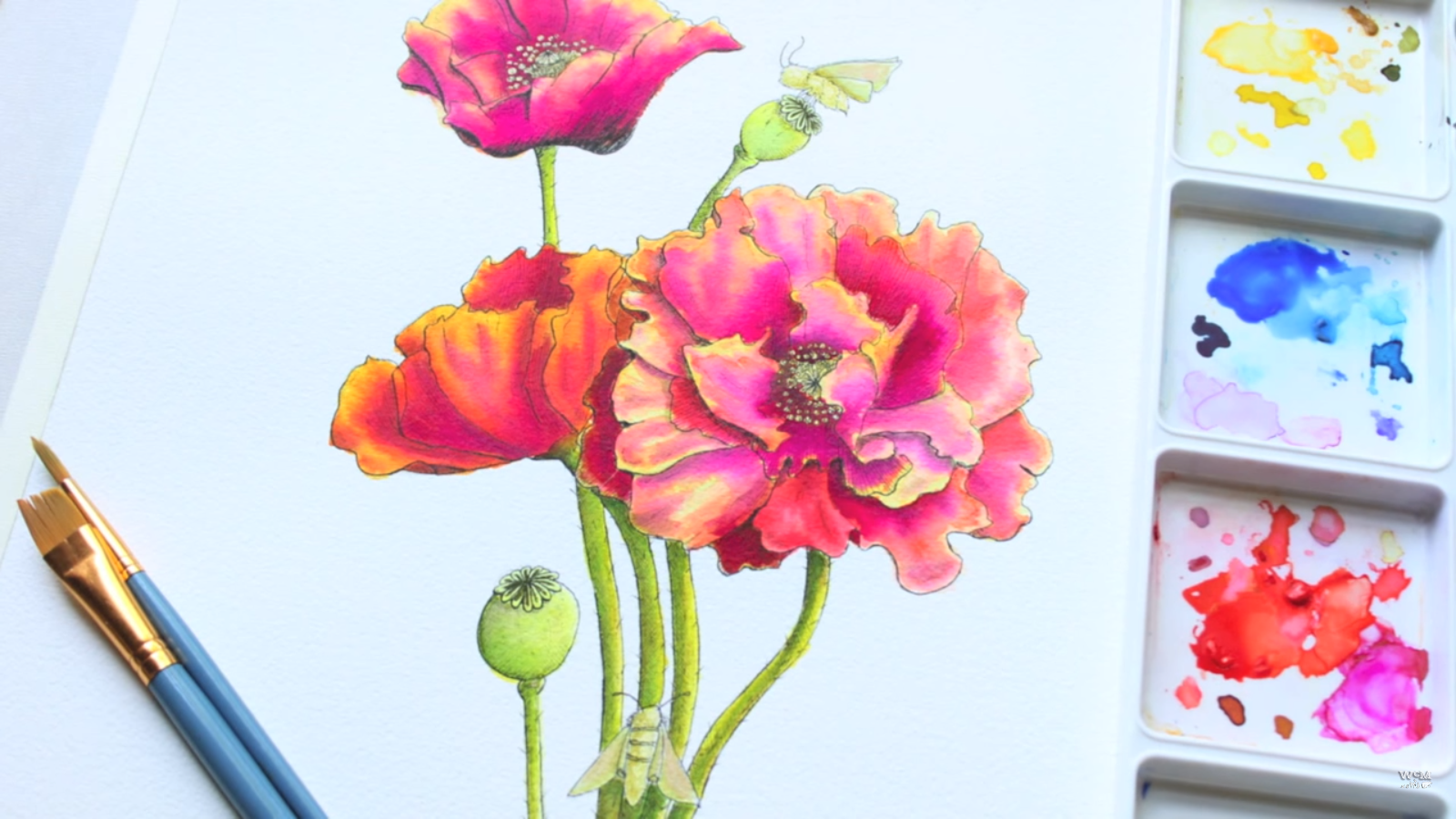 1600x900 The Easiest Way To Paint A Realistic Watercolor Flower By