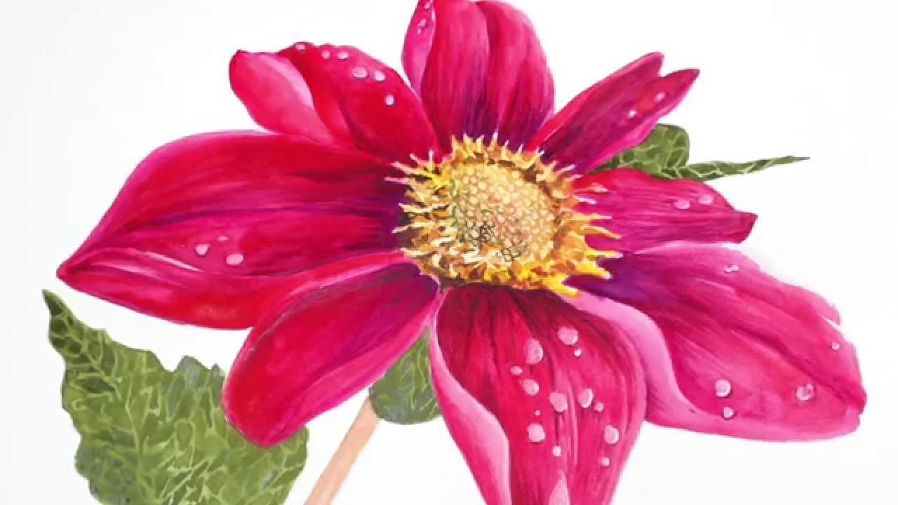 1280x720 Watercolor Flower Series
