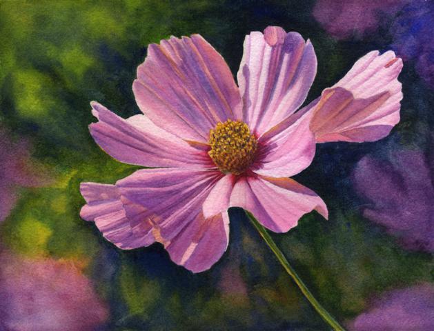 629x480 Watercolor Paintings By Cathy Hillegas