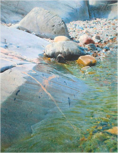 501x650 25 Realistic Watercolor Paintings By Stanislaw Zoladz Stanislaw