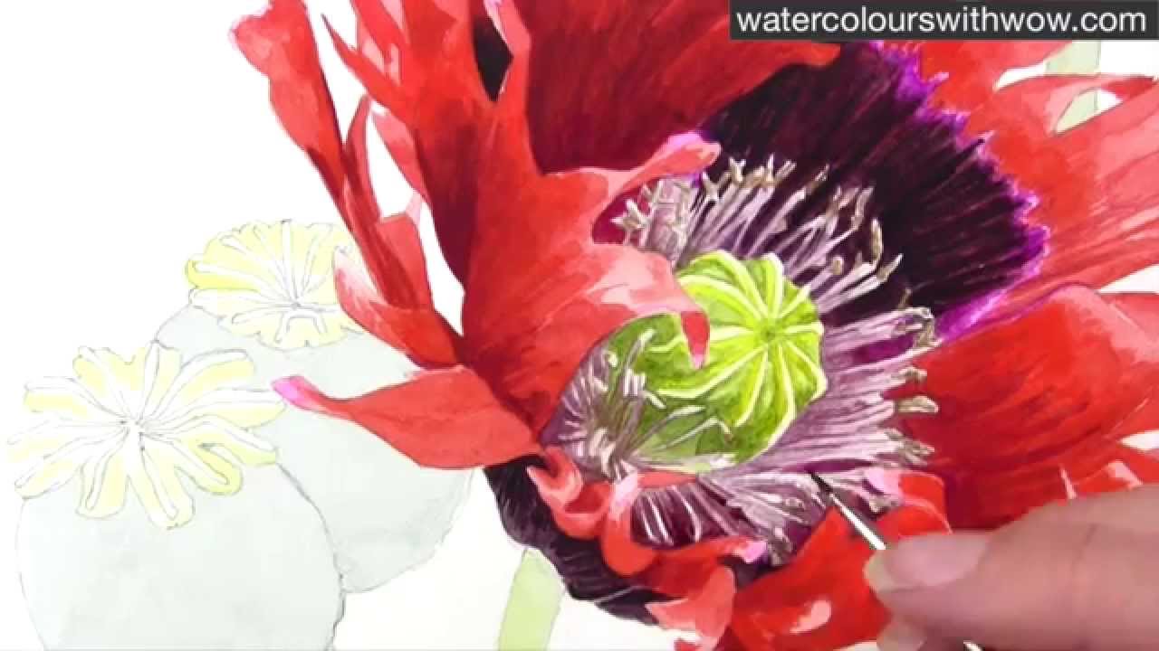 1280x720 Watercolour Painting Techniques
