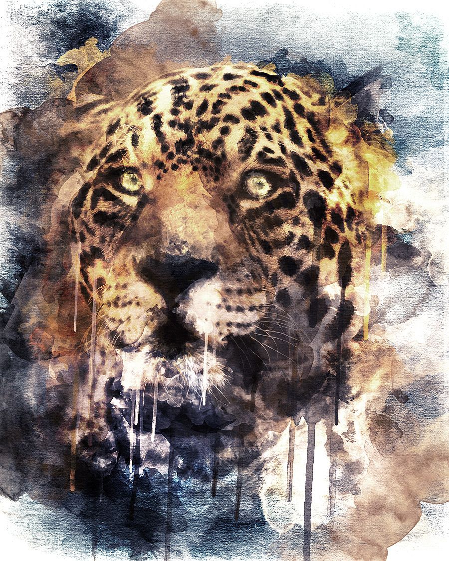 900x1125 Realistic Watercolor Painting Tutorial In Photoshop Drawings