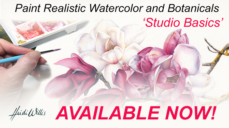 900x506 Online Watercolor And Botanical Painting Tutorial ~ Studio Basics