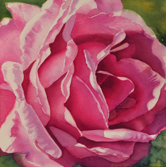 567x570 Purple Rose Painting, 12x12, Watercolor On Paper Watercolor