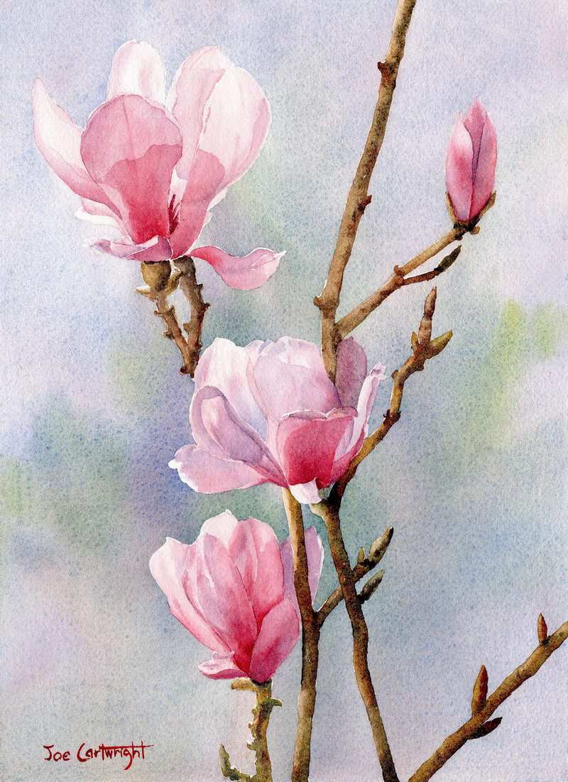 800x1102 Simple Watercolor Painting Elegant Watercolor Paintings By Joe