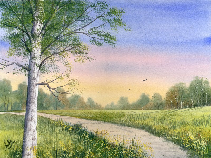 800x600 Watercolour Tutorial Paint A Meadow With Realistic Birch Trees