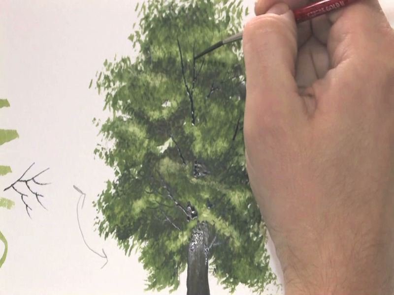 800x600 Watercolour Tutorial Painting A Realistic Tree