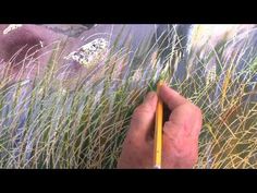 236x177 58 Best Watercolor Realism Images Watercolor Art