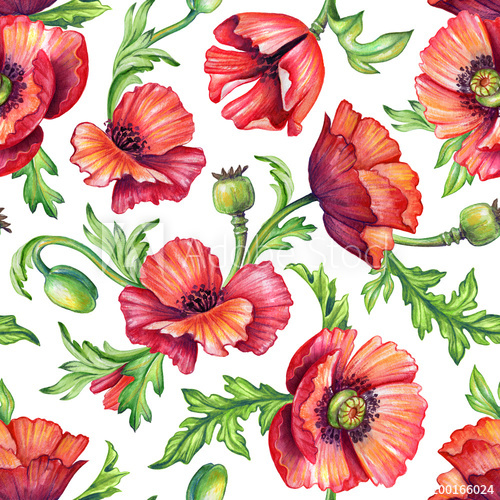 500x500 Seamless Poppy Pattern, Botanical Background, Watercolor Texture