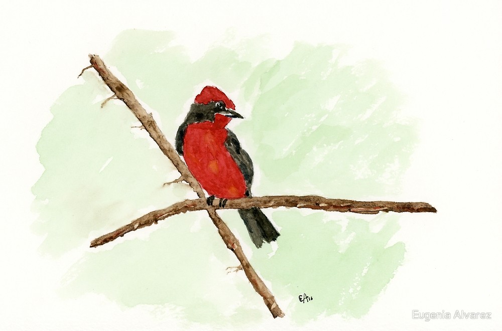 Red Bird Watercolor