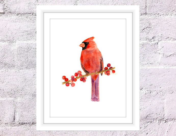 690x534 Northern Cardinal Print, Watercolour By Breezy Bird Goodies On Zibbet