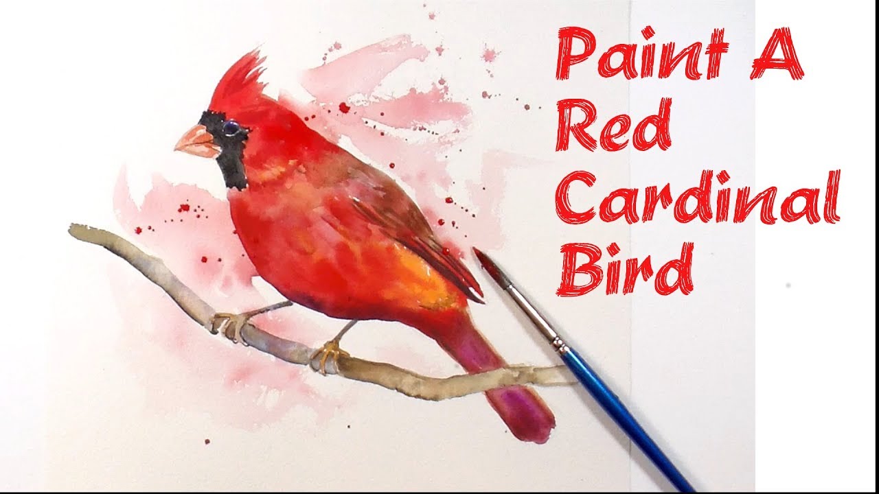 1280x720 Paint And Colour A Red Cardinal Bird
