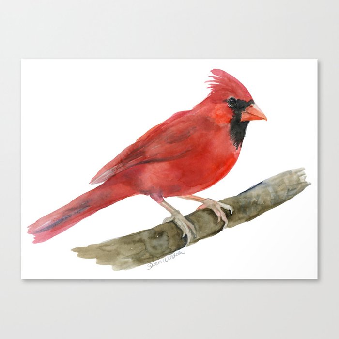 700x700 Red Cardinal Watercolor Canvas Print By Susanwindsor Society6