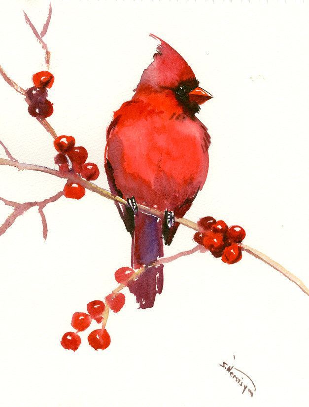 627x825 Red Cardinal Bird Art Red Christmas Wall Art, Original Watercolor