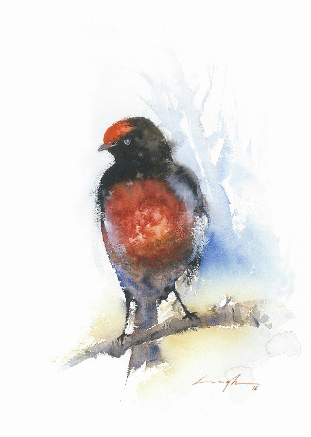 640x900 Red Robin Bird Watercolor Print Bird Art Painting By Nitin Singh