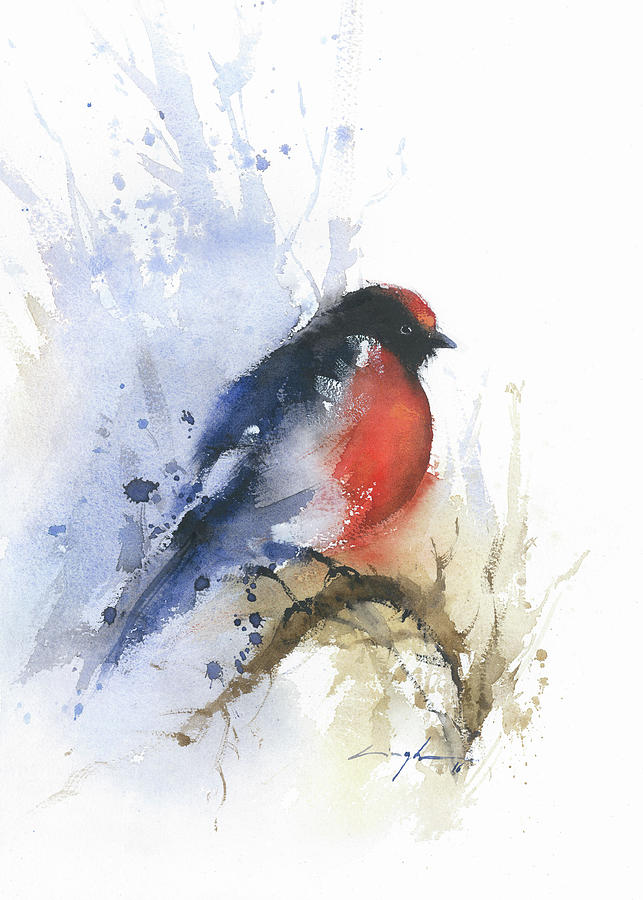 643x900 Robin Bird Watercolor Painting Print, Red And Black Birds Print