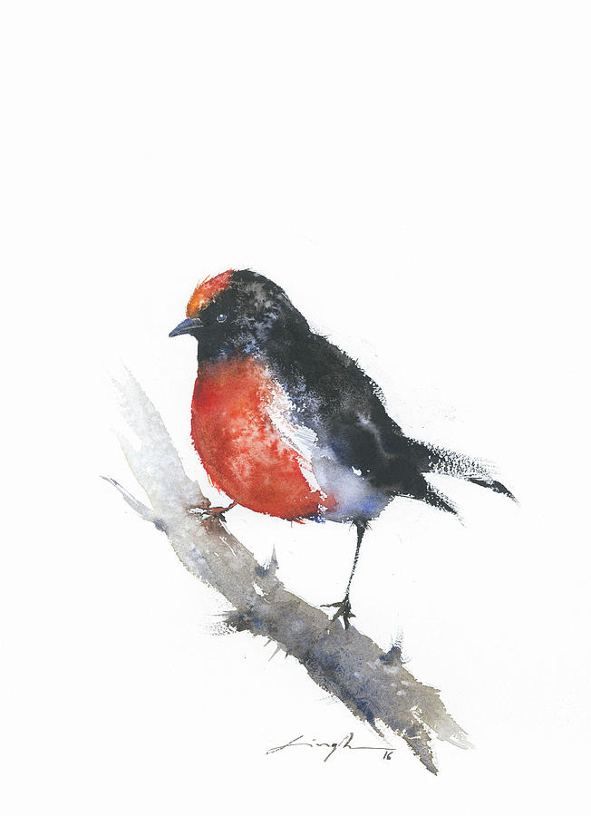 652x900 American Robin Bird Watercolor Painting By Nitin Singh