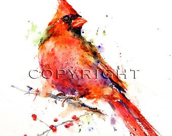 340x270 Cardinal Watercolor Etsy
