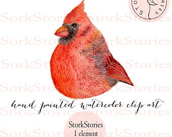340x270 Cardinal Watercolor Etsy