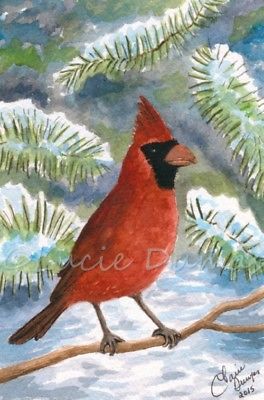 264x400 Original Painting Watercolor 4x6 Bird 70 Red Cardinal Winter Art