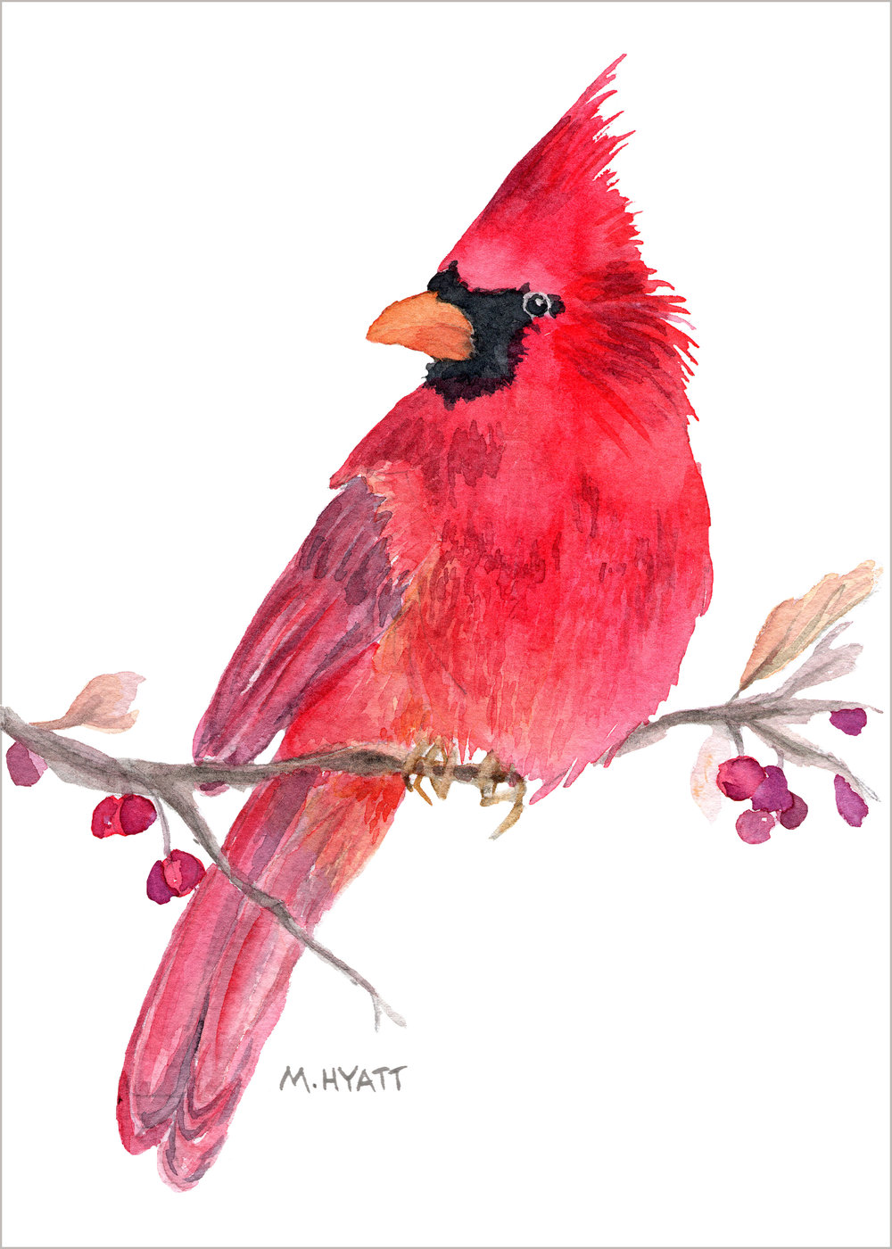 1000x1400 Red Cardinal 8x10 Glicee Print Melissa Hyatt Artist