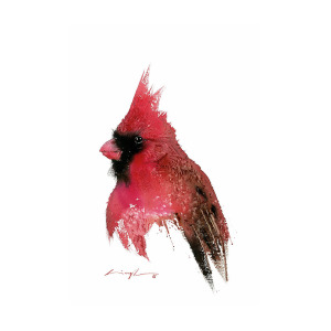 300x300 Red Cardinal Watercolor Painting By Nitin Singh