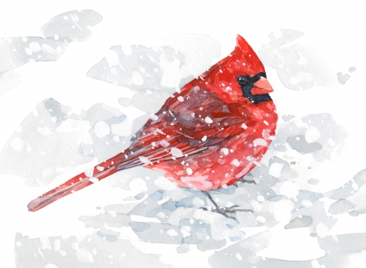 514x377 Red Cardinal Snow Watercolor David Scheirer Watercolors
