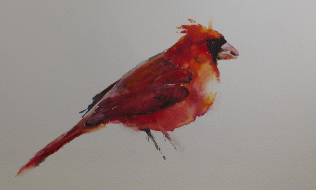 1044x629 Sue Churchgrant Daily Painting Cardinal Watercolor