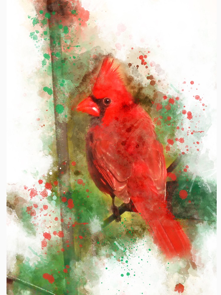750x1000 Cardinal Bird, Cardinal, Red Cardinal, Watercolor Cardinal