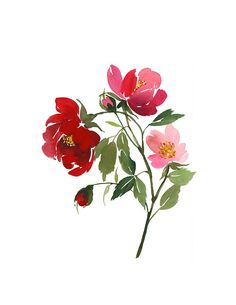 Red Flower Watercolor