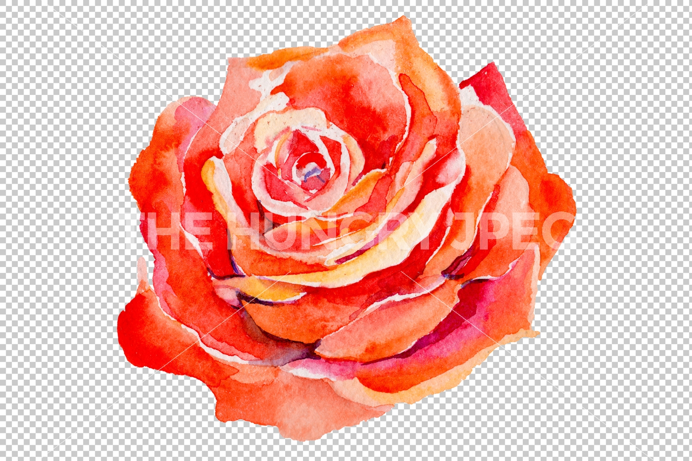 1400x933 Light Red Rose Png Watercolor Flower Set By Mystocks