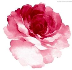 236x230 9937 Best Watercolor Flowers Images In 2018