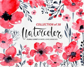 340x270 Watercolor Flowers Etsy