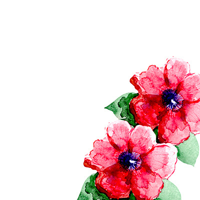 400x400 Two Red Flower On A White Background. Watercolor Two Red