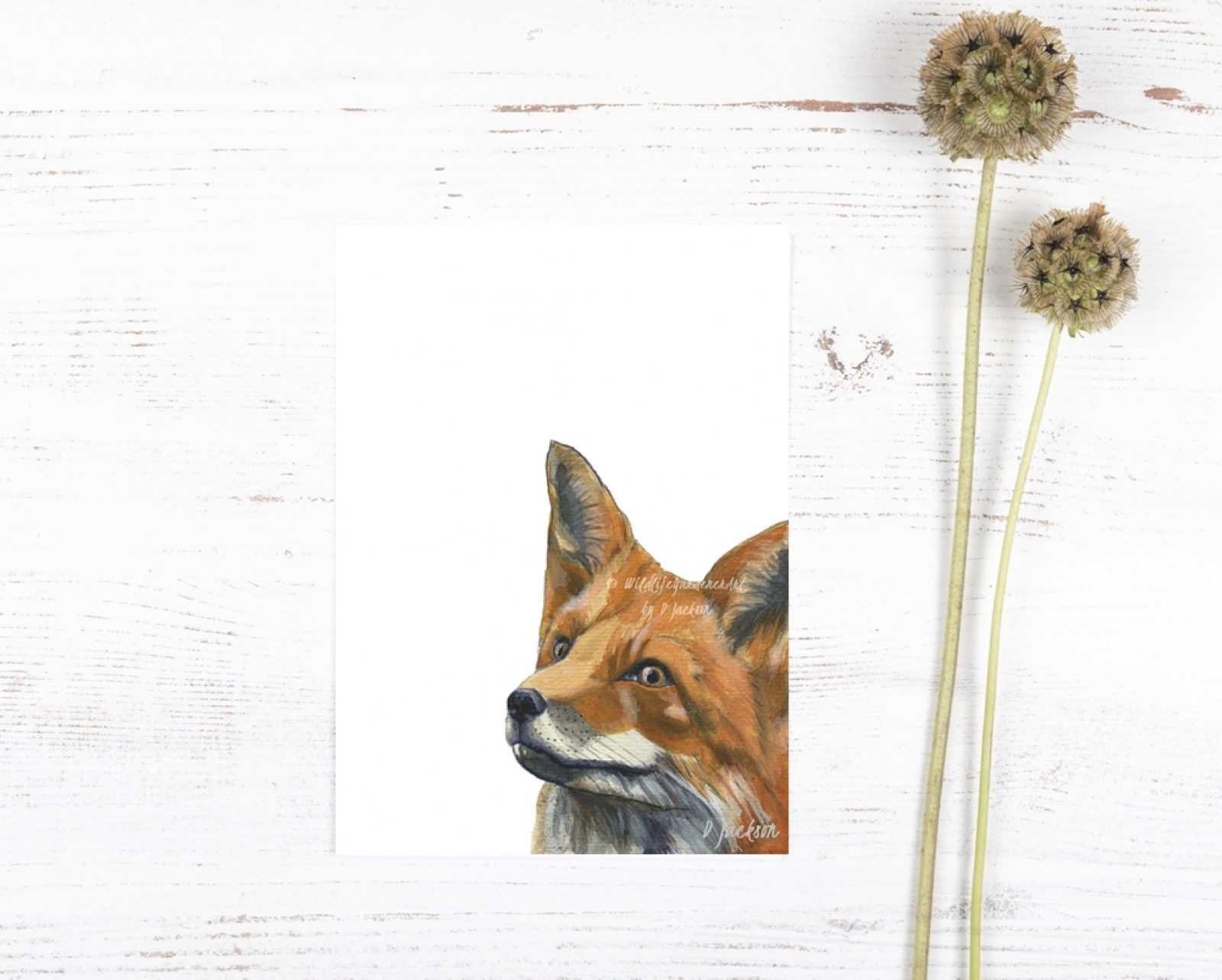 1600x1284 Red Fox Watercolor Archival Art Print Wildlife Gardener Art