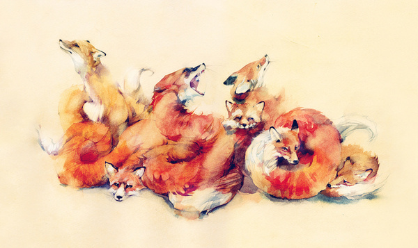 600x357 Best Fox Red Orange Paint Watercolor Images On Designspiration