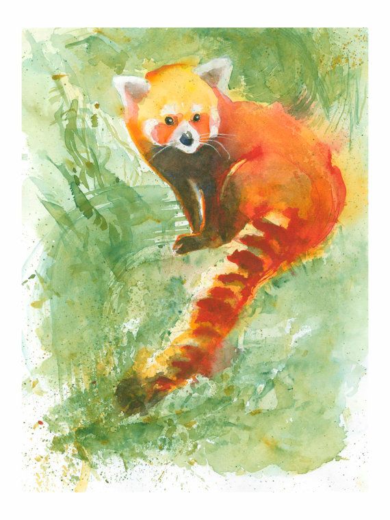 570x760 Red Panda Art Print Pandawatercolor Painting Girl Room Panda
