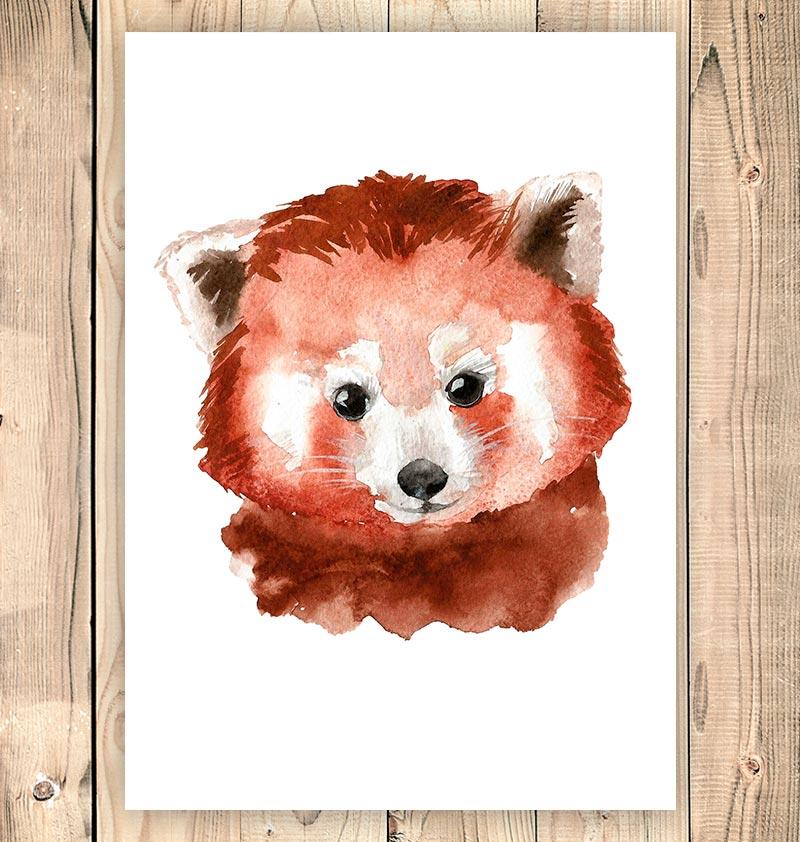 800x842 Red Panda Head Ii