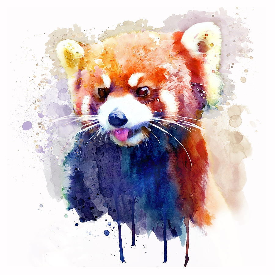 900x900 Red Panda Portrait Painting By Marian Voicu