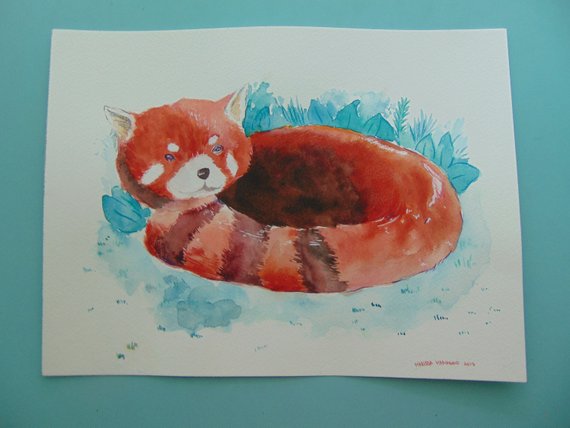 570x428 Red Panda Watercolor Painting Art Etsy