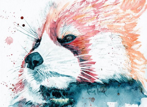 570x414 Red Panda Watercolor Print Etsy