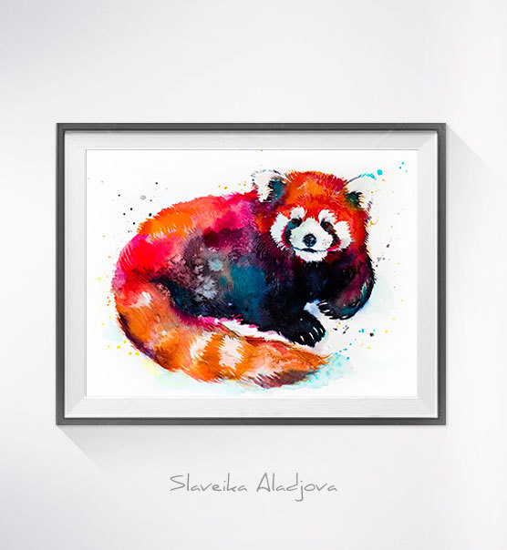 556x604 Red Panda 2 Watercolor Painting Print
