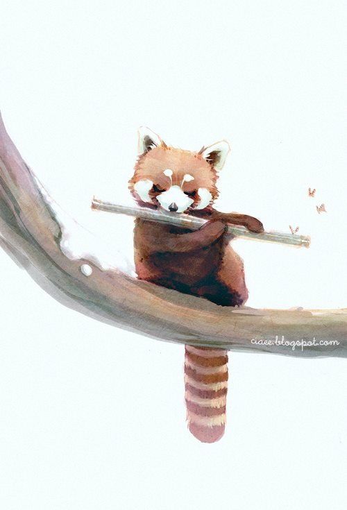 500x735 Red Panda Watercolor Pandamonium Red Panda, Panda