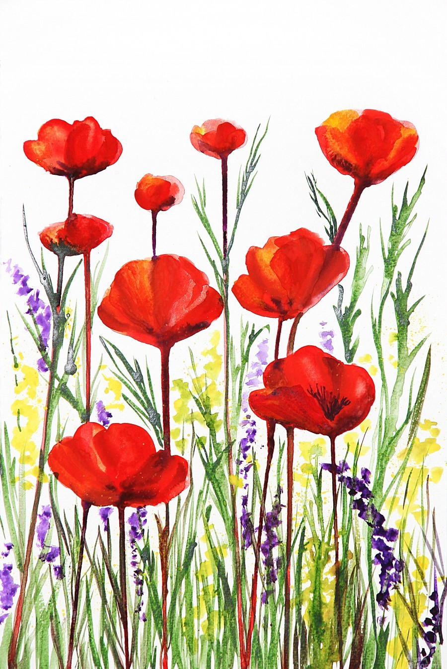 900x1347 Red Poppies And Lavender Field Watercolor