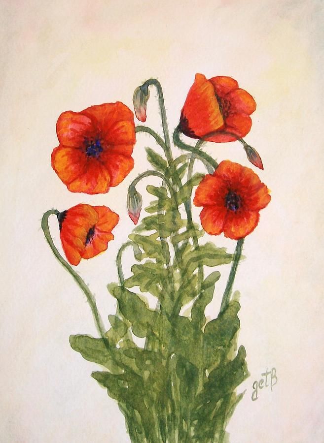 657x900 Red Poppies Watercolor Painting Watercolor