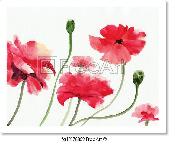 560x470 Free Art Print Of Watercolor Painting Of Red Poppies. Original Art