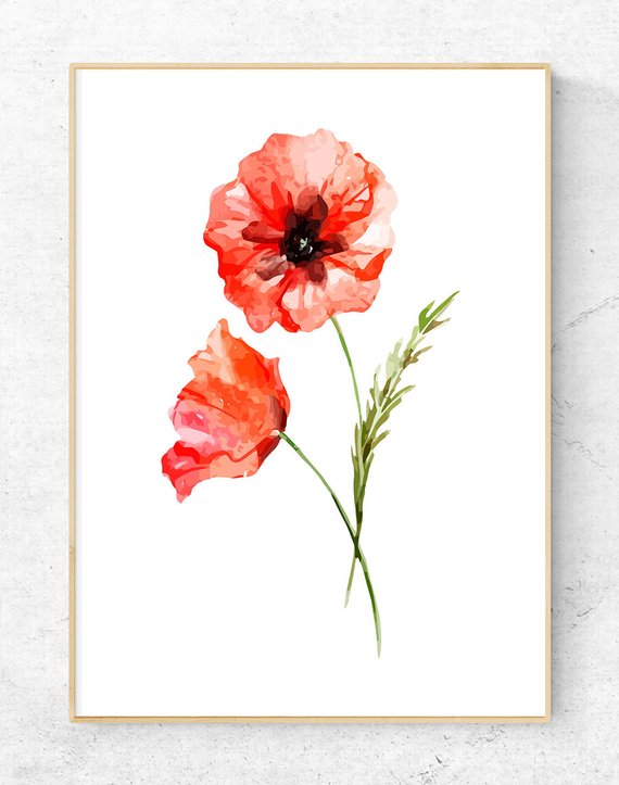 570x723 Red Poppy Watercolor Wall Art Print Home Decor Set Of 2 Etsy
